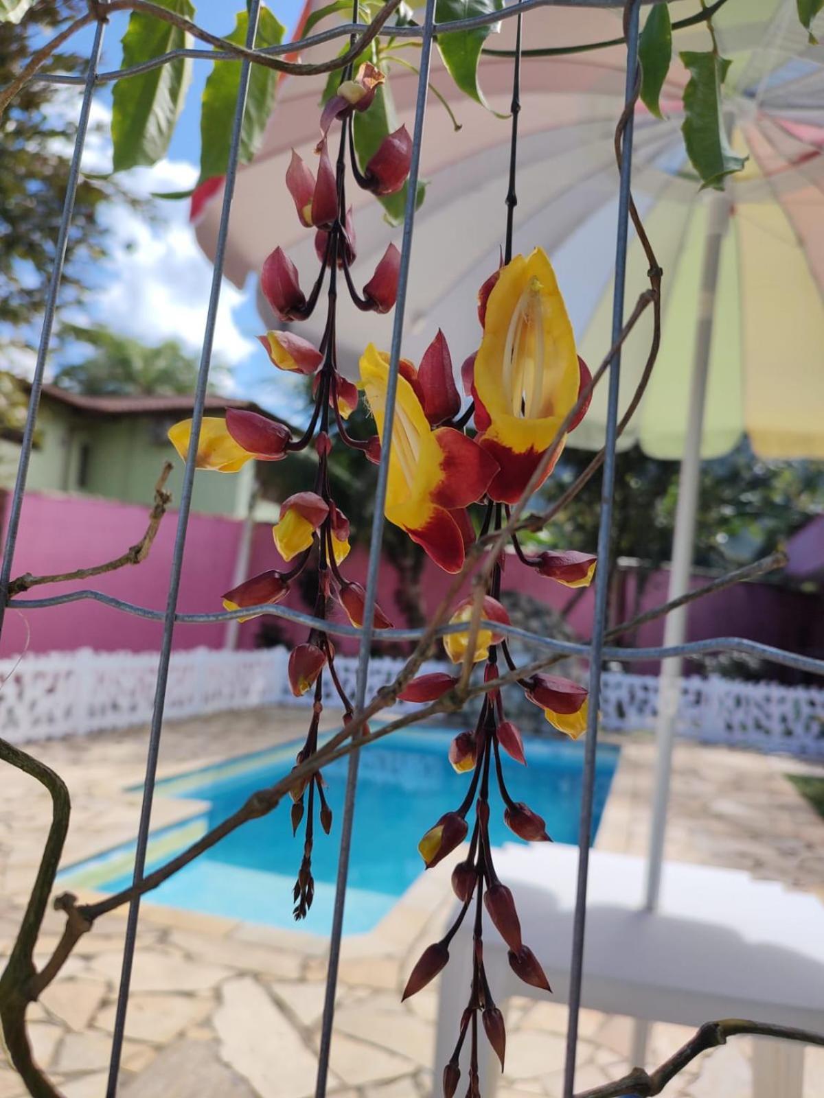 Pousada Nova Primavera Ubatuba Exterior foto