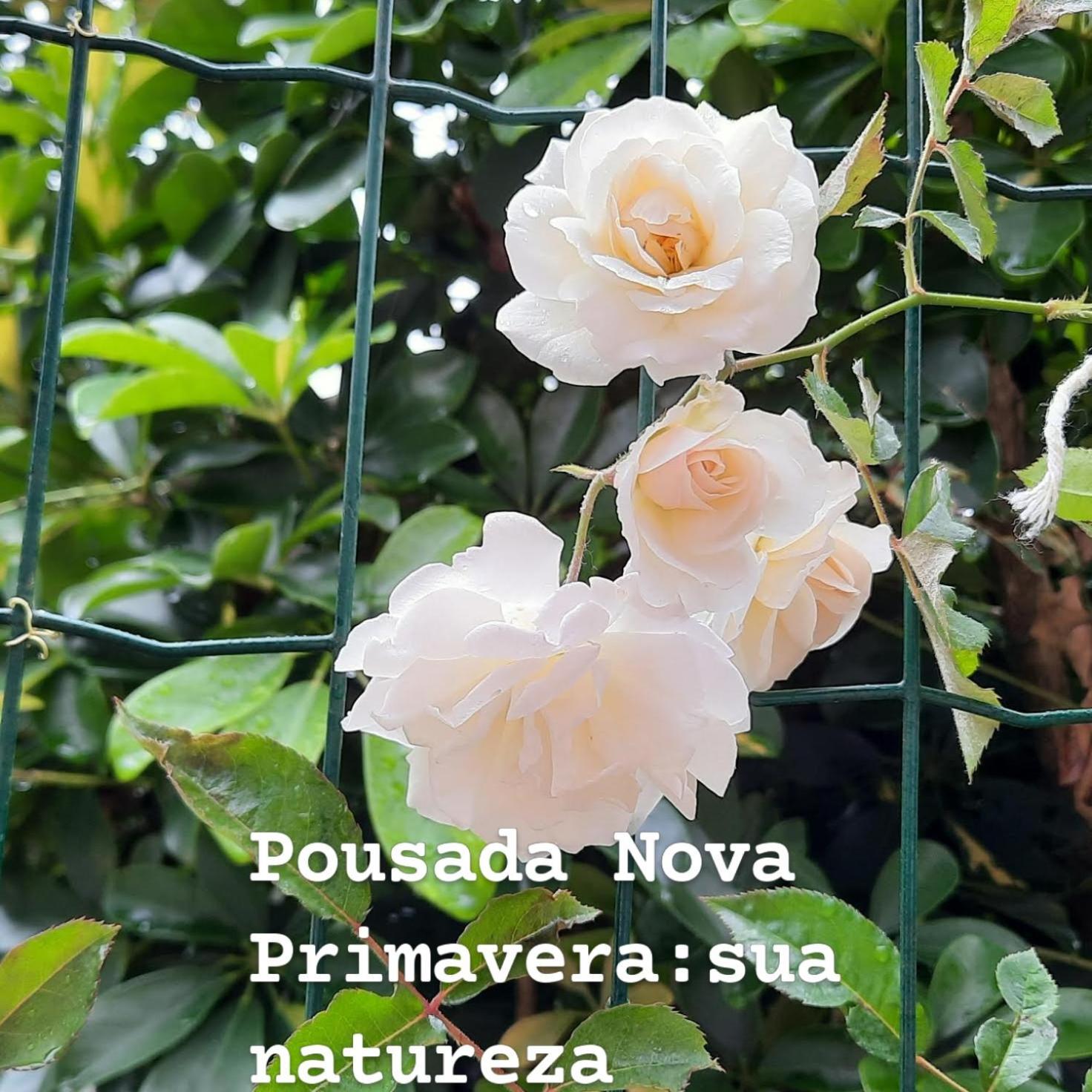 Pousada Nova Primavera Ubatuba Exterior foto